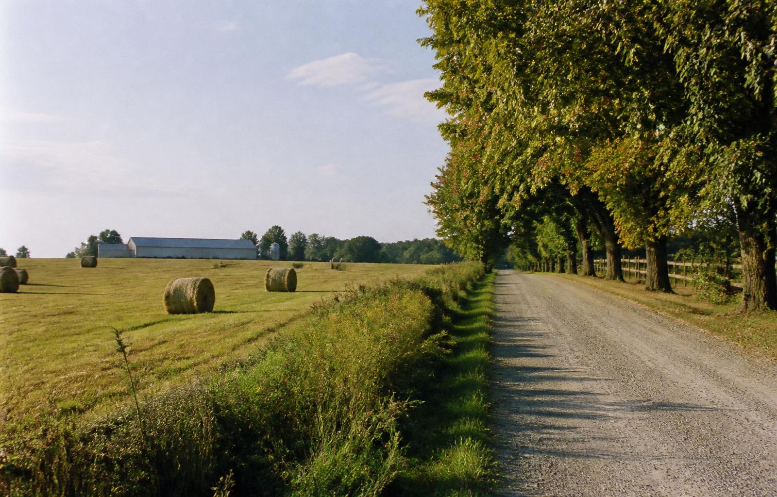 Farm fields and a tree lined gravel road near Kemptville in Eastern Ontario